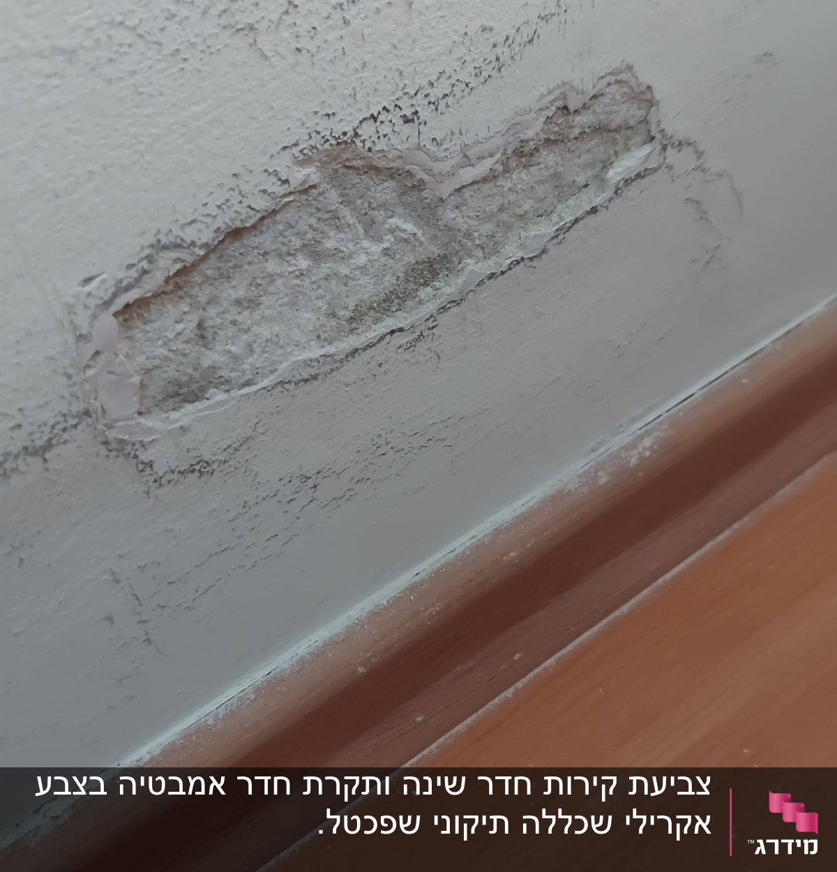 קיר עם קילוף צבע ותיקון נדרש